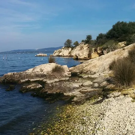 Tancredi *
